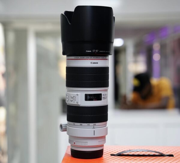 Canon EF 70-200mm f/2.8L IS III USM - Image 12