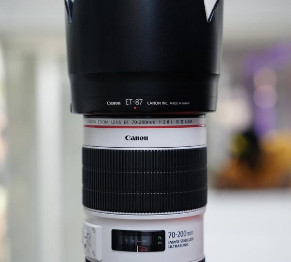 Canon EF 70-200mm f/2.8L IS III USM - Image 10