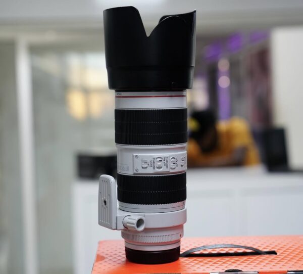 Canon EF 70-200mm f/2.8L IS III USM - Image 13