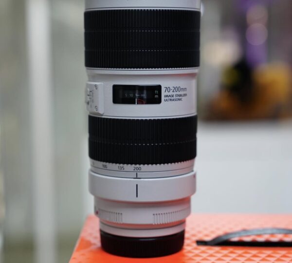 Canon EF 70-200mm f/2.8L IS III USM - Image 11